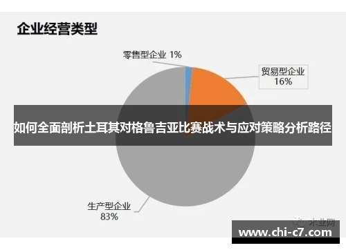 如何全面剖析土耳其对格鲁吉亚比赛战术与应对策略分析路径