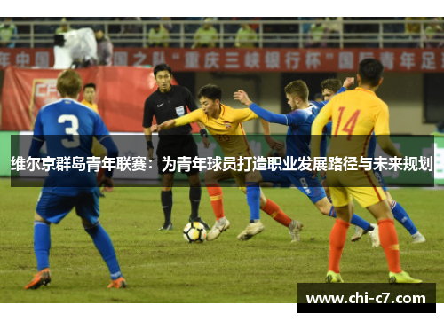 维尔京群岛青年联赛：为青年球员打造职业发展路径与未来规划