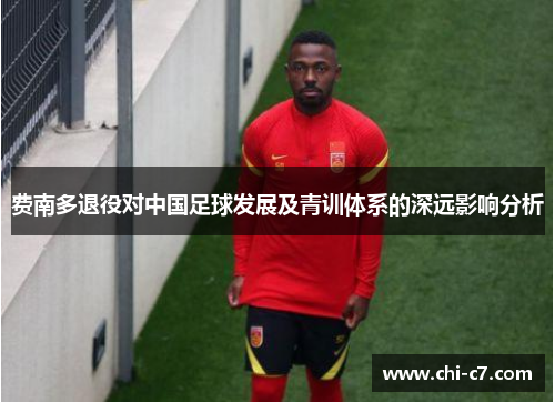 费南多退役对中国足球发展及青训体系的深远影响分析