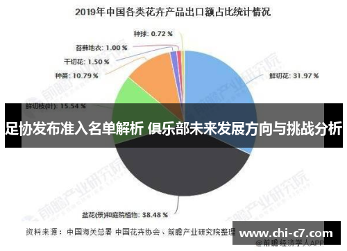 足协发布准入名单解析 俱乐部未来发展方向与挑战分析 足协发布准入名单解析 俱乐部未来发展方向与挑战分析
