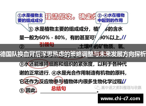 德国队换血背后深思熟虑的策略调整与未来发展方向探析 德国队换血背后深思熟虑的策略调整与未来发展方向探析