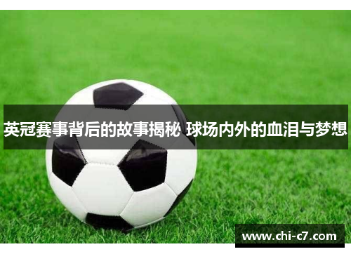 英冠赛事背后的故事揭秘 球场内外的血泪与梦想