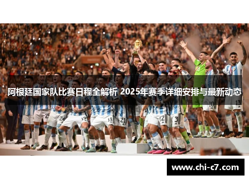 阿根廷国家队比赛日程全解析 2025年赛季详细安排与最新动态