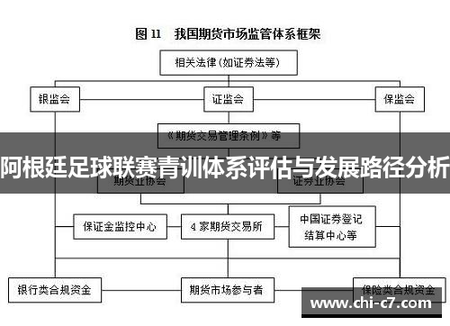 阿根廷足球联赛青训体系评估与发展路径分析