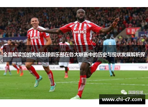 全面解读加的夫城足球俱乐部在各大联赛中的历史与现状发展解析探