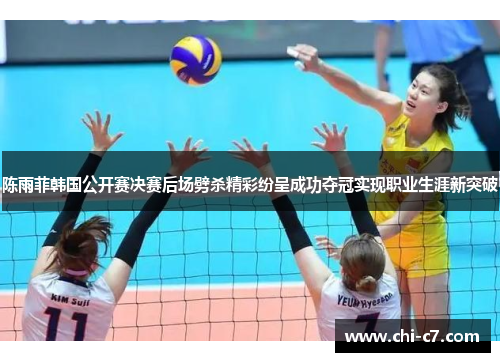 陈雨菲韩国公开赛决赛后场劈杀精彩纷呈成功夺冠实现职业生涯新突破
