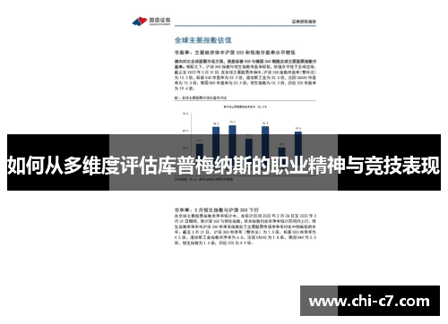 如何从多维度评估库普梅纳斯的职业精神与竞技表现 如何从多维度评估库普梅纳斯的职业精神与竞技表现