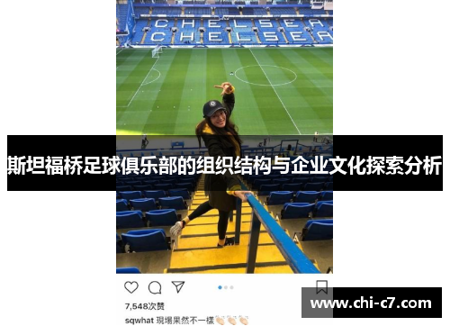 斯坦福桥足球俱乐部的组织结构与企业文化探索分析