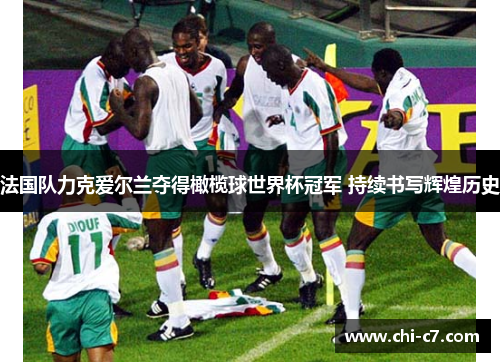 法国队力克爱尔兰夺得橄榄球世界杯冠军 持续书写辉煌历史 法国队力克爱尔兰夺得橄榄球世界杯冠军 持续书写辉煌历史