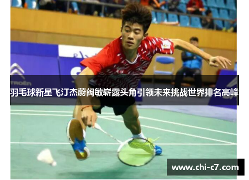 羽毛球新星飞汀杰蔚阀敏崭露头角引领未来挑战世界排名高峰